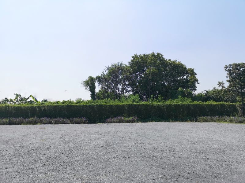Lot Grading Service Cost — Cost of Lot Grading Service